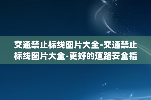 交通禁止标线图片大全-交通禁止标线图片大全-更好的道路安全指南