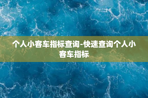 个人小客车指标查询-快速查询个人小客车指标