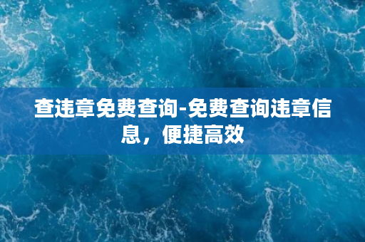 查违章免费查询-免费查询违章信息，便捷高效