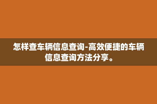 怎样查车辆信息查询-高效便捷的车辆信息查询方法分享。