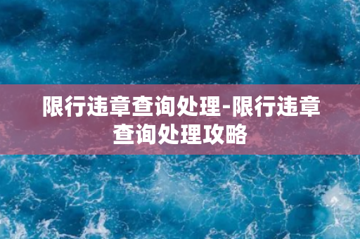 限行违章查询处理-限行违章查询处理攻略