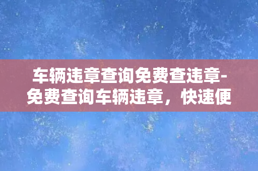 车辆违章查询免费查违章-免费查询车辆违章，快速便捷，无需注册！