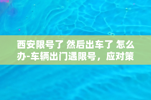 西安限号了 然后出车了 怎么办-车辆出门遇限号，应对策略大揭秘！