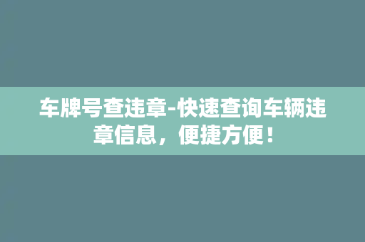 车牌号查违章-快速查询车辆违章信息，便捷方便！