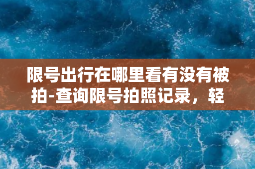 限号出行在哪里看有没有被拍-查询限号拍照记录，轻松检测出行安全！