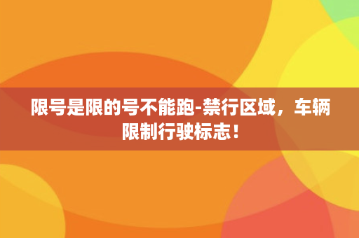 限号是限的号不能跑-禁行区域，车辆限制行驶标志！