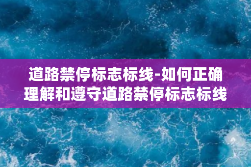 道路禁停标志标线-如何正确理解和遵守道路禁停标志标线规定