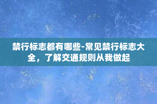 禁行标志都有哪些-常见禁行标志大全，了解交通规则从我做起