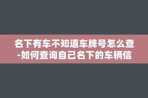 名下有车不知道车牌号怎么查-如何查询自己名下的车辆信息？