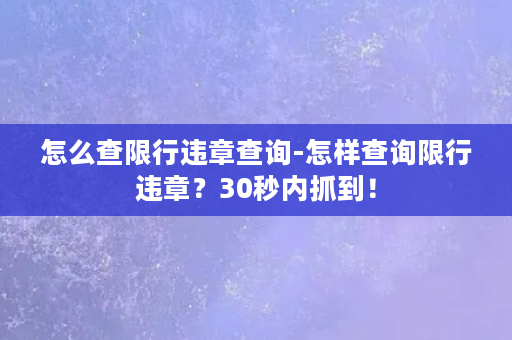 怎么查限行违章查询-怎样查询限行违章？30秒内抓到！