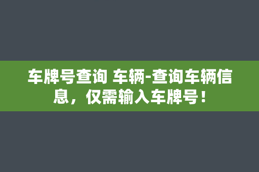 车牌号查询 车辆-查询车辆信息，仅需输入车牌号！