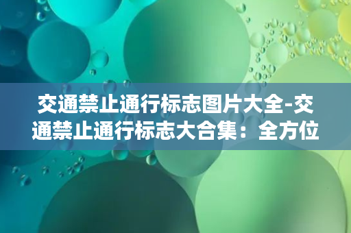 交通禁止通行标志图片大全-交通禁止通行标志大合集：全方位了解道路交通标识。