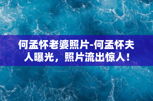 何孟怀老婆照片-何孟怀夫人曝光，照片流出惊人！